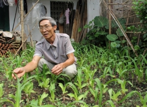 Tổng hợp cây thuốc chữa ung thư tuyến tiền liệt hiệu quả {Thuốc nam chữa bệnh}